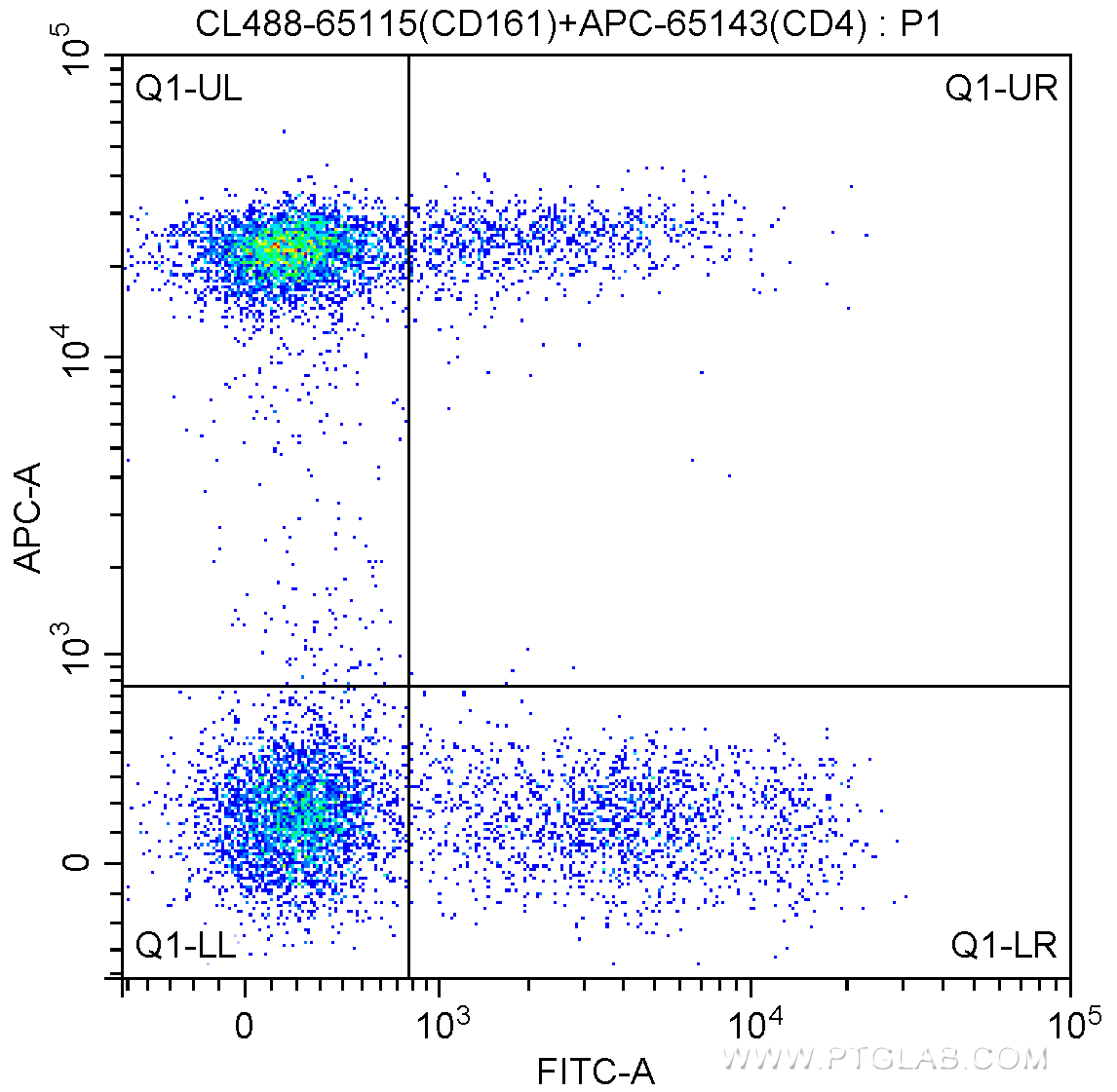 FC experiment of human peripheral blood lymphocytes using CL488-65115