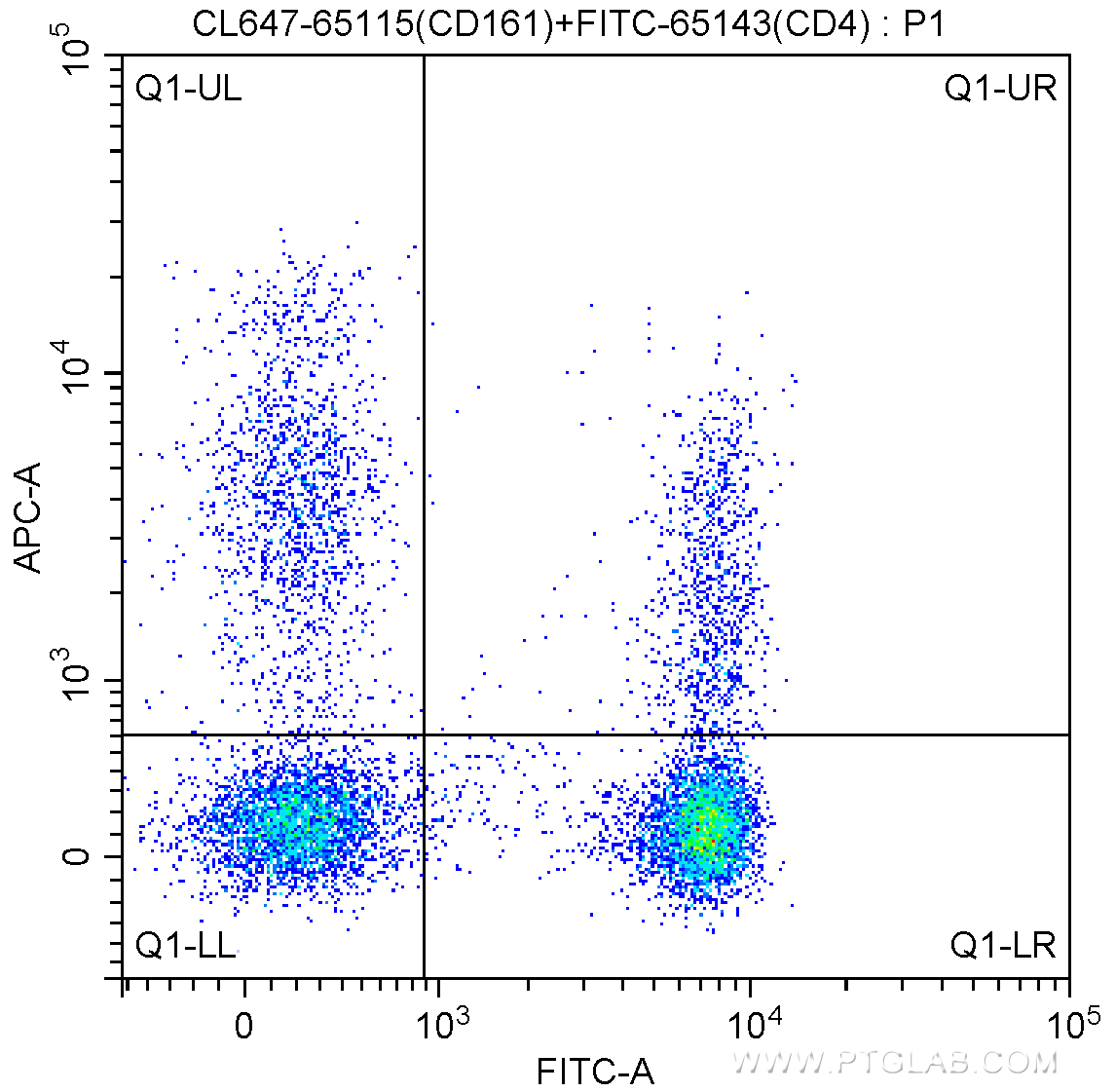 FC experiment of human peripheral blood lymphocytes using CL647-65115