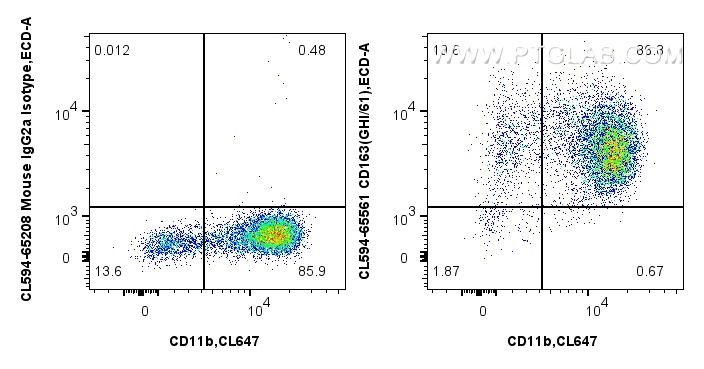 FC experiment of human PBMCs using CL594-65561