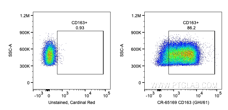 FC experiment of human PBMCs using CR-65169