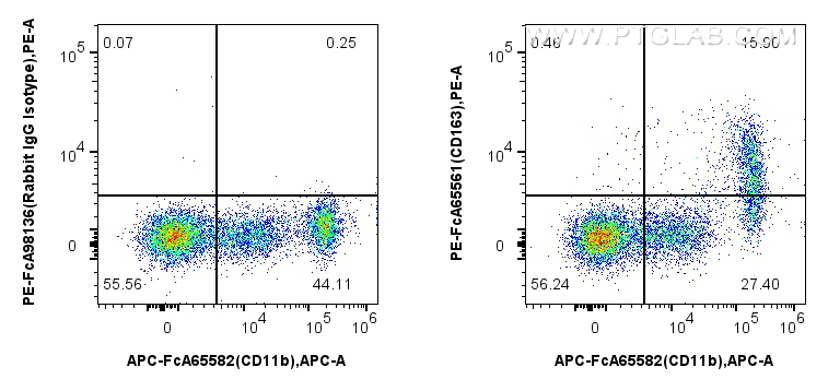FC experiment of human PBMCs using PE-FcA65561