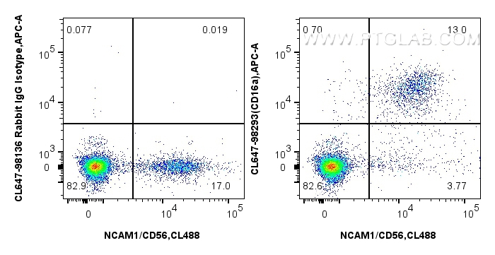 1x10^6 human PBMCs were surface stained with CoraLite® Plus 488 Anti-Human NCAM1/CD56, and 5 ul CoraLite® Plus 647 Anti-Human CD16a Rabbit RecAb (CL647-98293, Clone: 242426G11) or CoraLite® Plus 647 Rabbit IgG Isotype Control RecAb (<a class='green' href='/productredirect?CatalogNo=CL647-98136' target='_blank'>CL647-98136</a>, Clone: 240953C9). Cells were incubated with FC Receptor Block prior to staining. Cells were not fixed. FC experiment of human PBMCs using CL647-98293