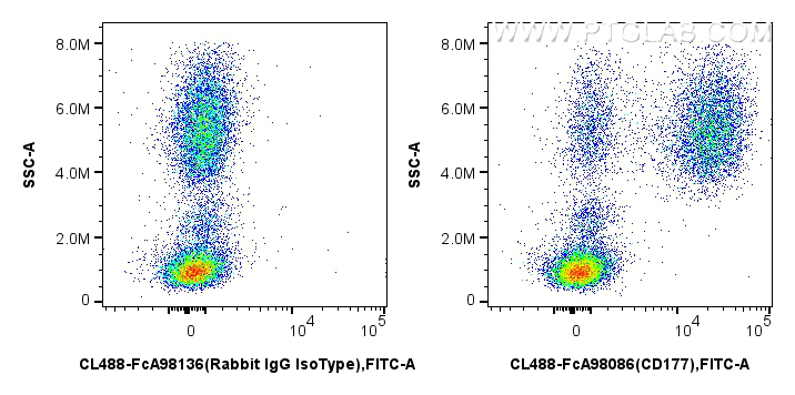 FC experiment of human peripheral blood leukocyte using CL488-FcA98086