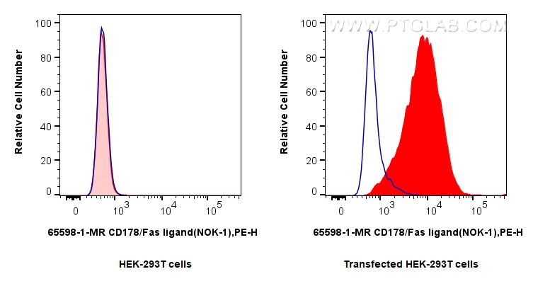 FC experiment of Transfected HEK-293T using 65598-1-MR (same clone as 65598-1-PBS)