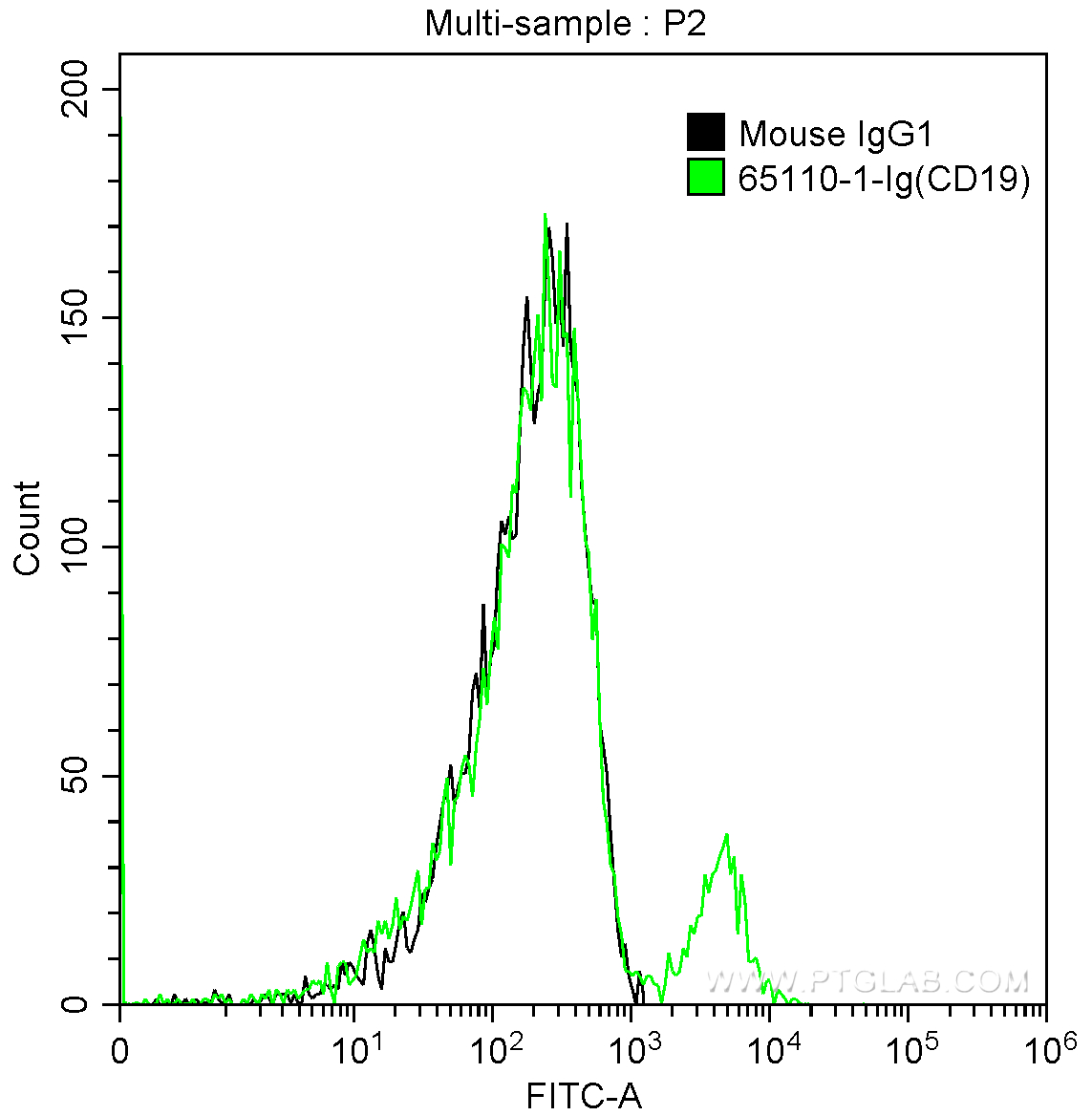 CD19