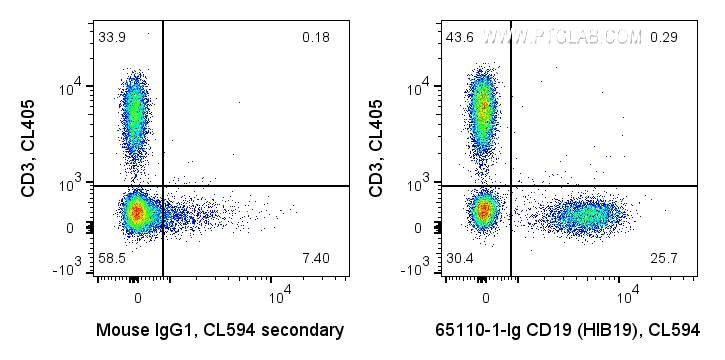 FC experiment of human PBMCs using 65110-1-Ig