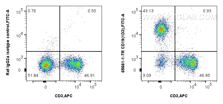 1x10^6 mouse splenocytes were surface stained with 0.5 ug Anti-Mouse CD19 (1D3) Rat IgG2a RecAb (<a class='green' href='/productredirect?CatalogNo=65661-1-TR' target='_blank'>65661-1-TR</a>, Clone:1D3) or Rat IgG2a Isotype Control (2A3) (<a class='green' href='/productredirect?CatalogNo=65209-1-Ig' target='_blank'>65209-1-Ig</a>, Clone: 2A3), and FITC anti-Rat IgG2a antibody. Cells were then stained with APC Anti-Mouse CD3 (17A2) (<a class='green' href='/productredirect?CatalogNo=APC-65077' target='_blank'>APC-65077</a>, Clone: 17A2). Cells were not fixed. This data was developed using the same antibody clone with 65661-1-PBS in a different storage buffer formulation. FC experiment of mouse splenocytes using 65661-1-TR (same clone as 65661-1-PBS)