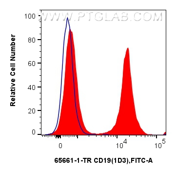 1x10^6 mouse splenocytes were surface stained with 0.5 ug Anti-Mouse CD19 (1D3) Rat IgG2a RecAb (<a class='green' href='/productredirect?CatalogNo=65661-1-TR' target='_blank'>65661-1-TR</a>, Clone: 1D3) (red) or Rat IgG2a Isotype Control (2A3) (<a class='green' href='/productredirect?CatalogNo=65209-1-Ig' target='_blank'>65209-1-Ig</a>, Clone: 2A3) (blue), and FITC anti-Rat IgG2a antibody. Cells were not fixed. This data was developed using the same antibody clone with 65661-1-PBS in a different storage buffer formulation. FC experiment of mouse splenocytes using 65661-1-TR (same clone as 65661-1-PBS)