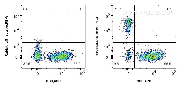 FC experiment of Cyno PBMCs using 98560-3-RR (same clone as 98560-3-PBS) FC experiment of Cyno PBMCs using 98560-3-RR (same clone as 98560-3-PBS)