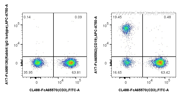 FC experiment of human PBMCs using AY7-FcA65562