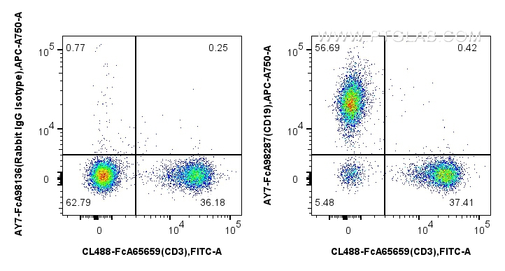 FC experiment of mouse splenocytes using AY7-FcA98287 FC experiment of mouse splenocytes using AY7-FcA98287