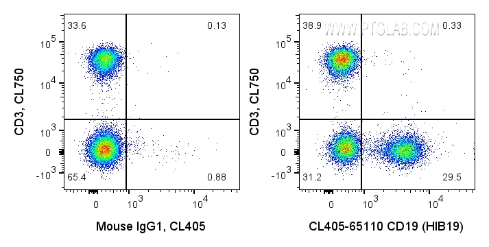 FC experiment of human PBMCs using CL405-65110