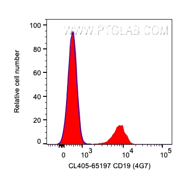 CD19