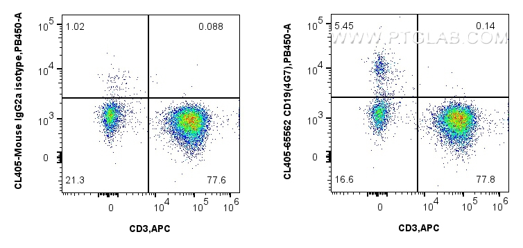 FC experiment of human PBMCs using CL405-65562