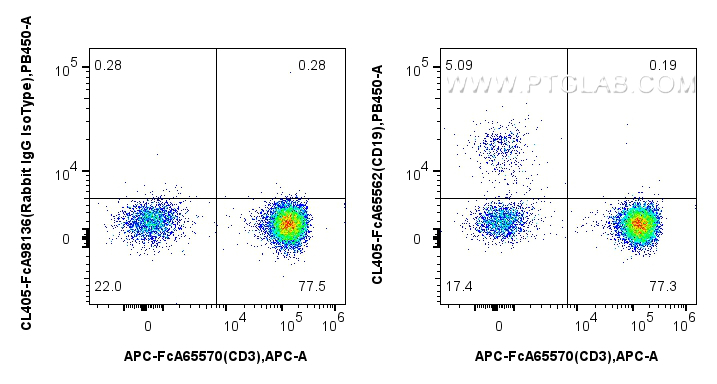 FC experiment of human PBMCs using CL405-FcA65562