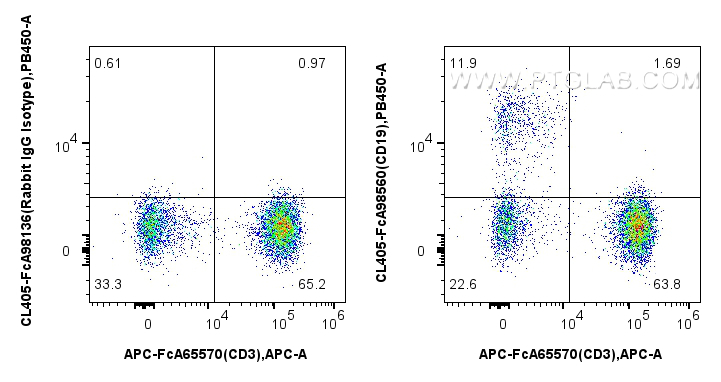 FC experiment of human PBMCs using CL405-FcA98560
