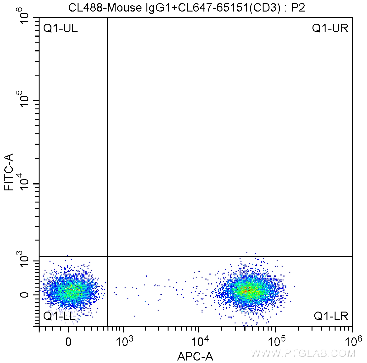 CD19