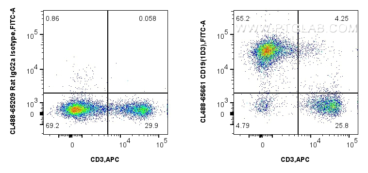 FC experiment of mouse splenocytes using CL488-65661