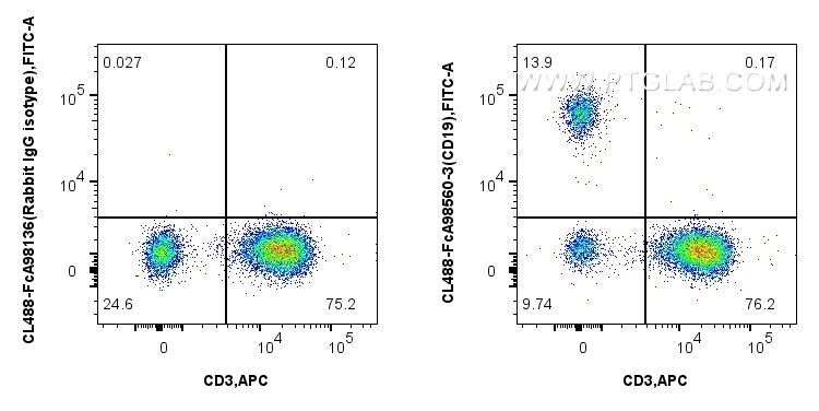FC experiment of human PBMCs using CL488-FcA98560-3 FC experiment of human PBMCs using CL488-FcA98560-3
