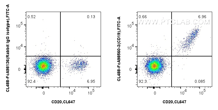 FC experiment of Cnyo PBMCs using CL488-FcA98560-3 FC experiment of Cnyo PBMCs using CL488-FcA98560-3