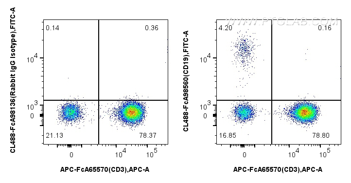 FC experiment of human PBMCs using CL488-FcA98560 FC experiment of human PBMCs using CL488-FcA98560