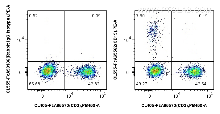 FC experiment of human PBMCs using CL555-FcA65562 FC experiment of human PBMCs using CL555-FcA65562