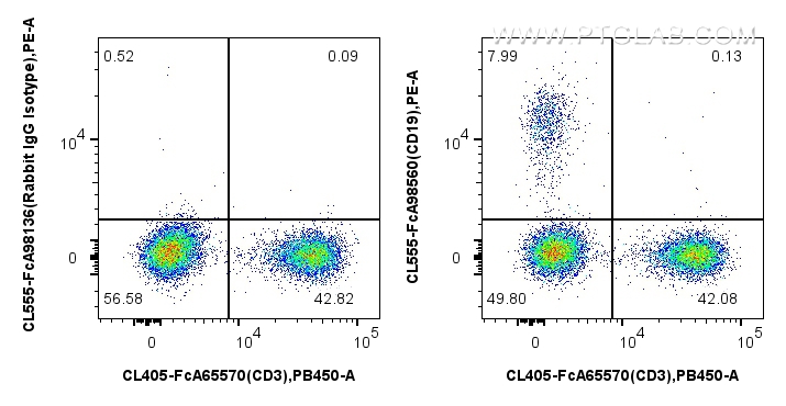 FC experiment of human PBMCs using CL555-FcA98560