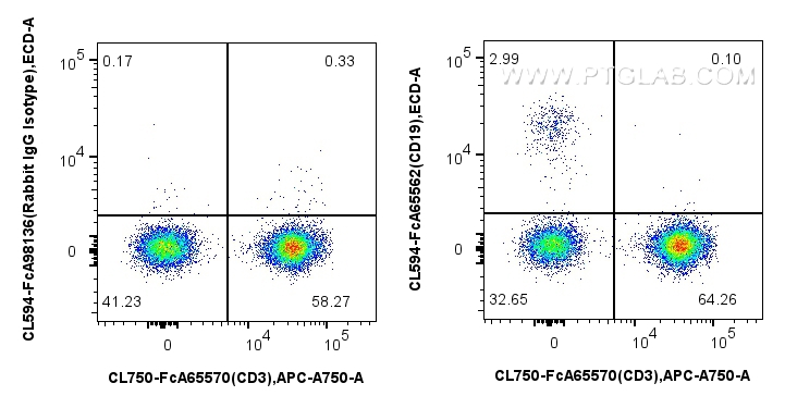FC experiment of human PBMCs using CL594-FcA65562