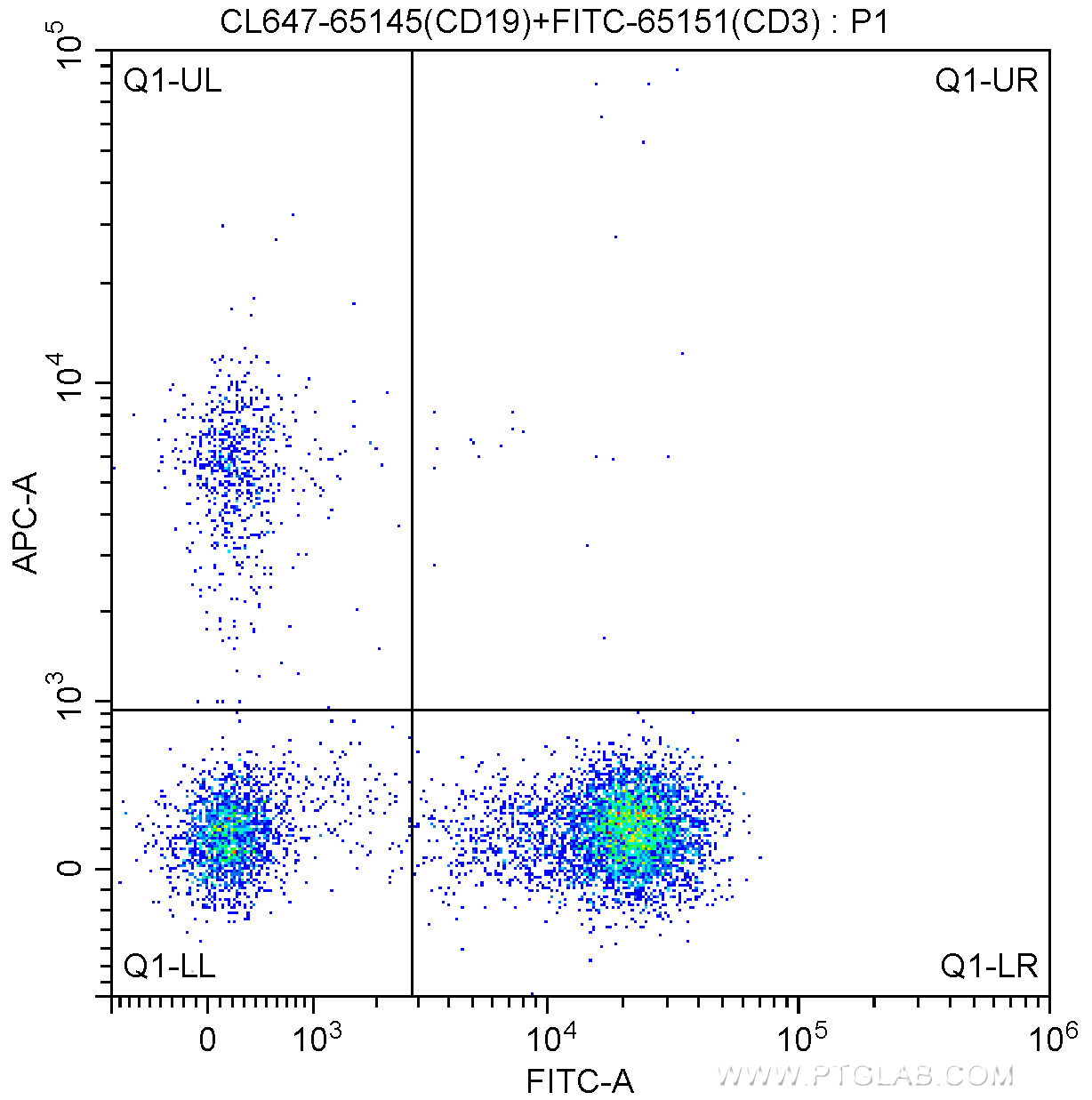 FC experiment of human peripheral blood lymphocytes using CL647-65145