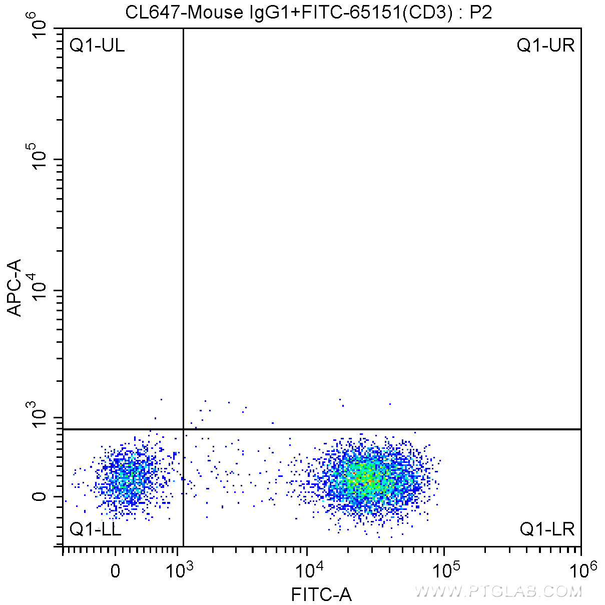 CD19