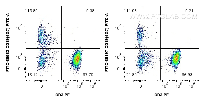 FC experiment of human PBMCs using FITC-65562