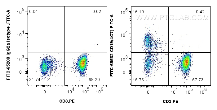 FC experiment of human PBMCs using FITC-65562