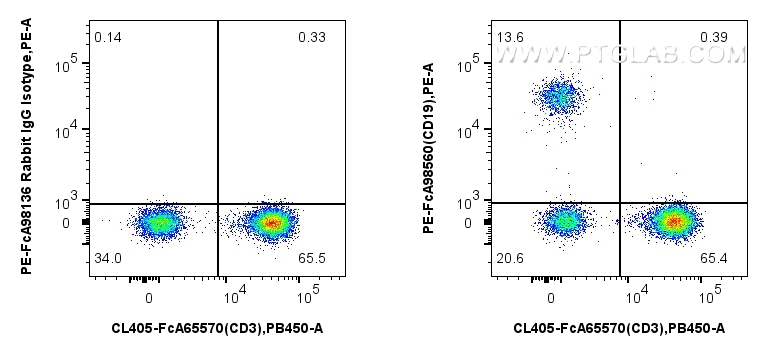 FC experiment of human PBMCs using PE-FcA98560 FC experiment of human PBMCs using PE-FcA98560