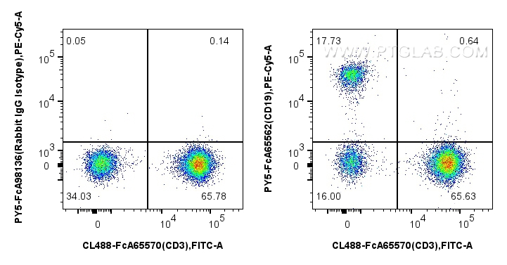 1x10^6 human PBMCs were surface stained with FcZero-rAb™ CoraLite® Plus 488 Anti-Human CD3 (UCHT1), and 5 ul PE-Cyanine5 Anti-Human CD19 (4G7) Rabbit RecAb (PY5-FcA65562, Clone: 4G7) or FcZero-rAb™ PE-Cyanine5 Rabbit IgG Isotype Control Recombinant Antibody (PY5-FcA98136, Clone: 240953C9). Cells were not fixed. Lymphocytes were gated. FC experiment of human PBMCs using PY5-FcA65562