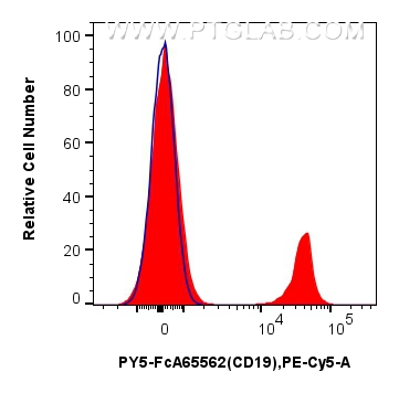 1x10^6 human PBMCs were surface stained with 5 ul PE-Cyanine5 Anti-Human CD19 (4G7) Rabbit RecAb (PY5-FcA65562, Clone: 4G7) (red) or FcZero-rAb™ PE-Cyanine5 Rabbit IgG Isotype Control Recombinant Antibody (PY5-FcA98136, Clone: 240953C9) (blue). Cells were not fixed. Lymphocytes were gated. FC experiment of human PBMCs using PY5-FcA65562