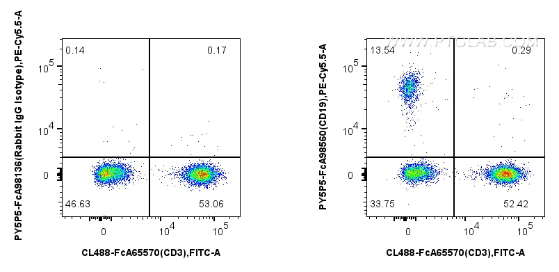 FC experiment of human PBMCs using PY5P5-FcA98560 FC experiment of human PBMCs using PY5P5-FcA98560