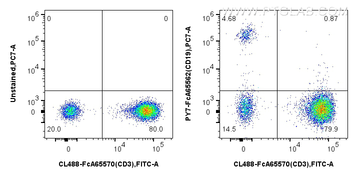 FC experiment of human PBMCs using PY7-FcA65562