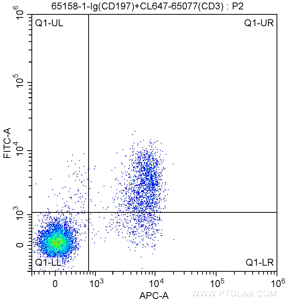 FC experiment of mouse splenocytes using 65158-1-Ig