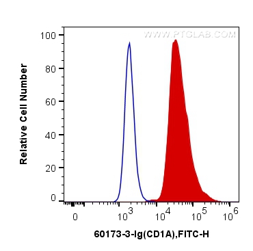 CD1A