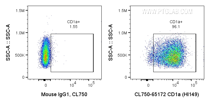 FC experiment of MOLT-4 using CL750-65172