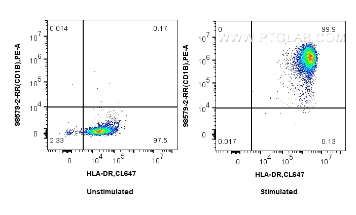 FC experiment of human monocyte-derived mature dendritic cells using 98579-2-RR