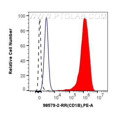 FC experiment of human monocyte-derived mature dendritic cells using 98579-2-RR