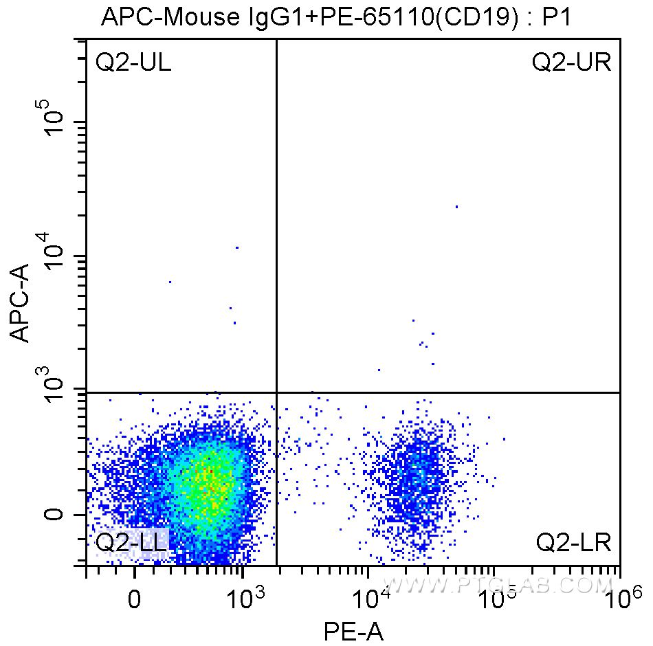 CD1c