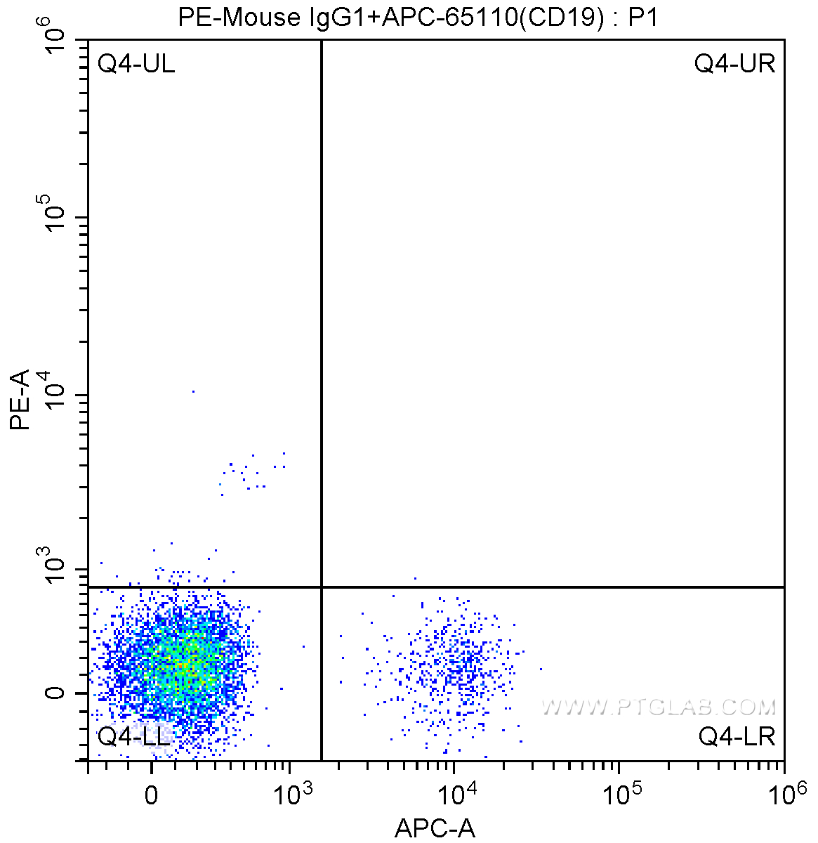 CD1c