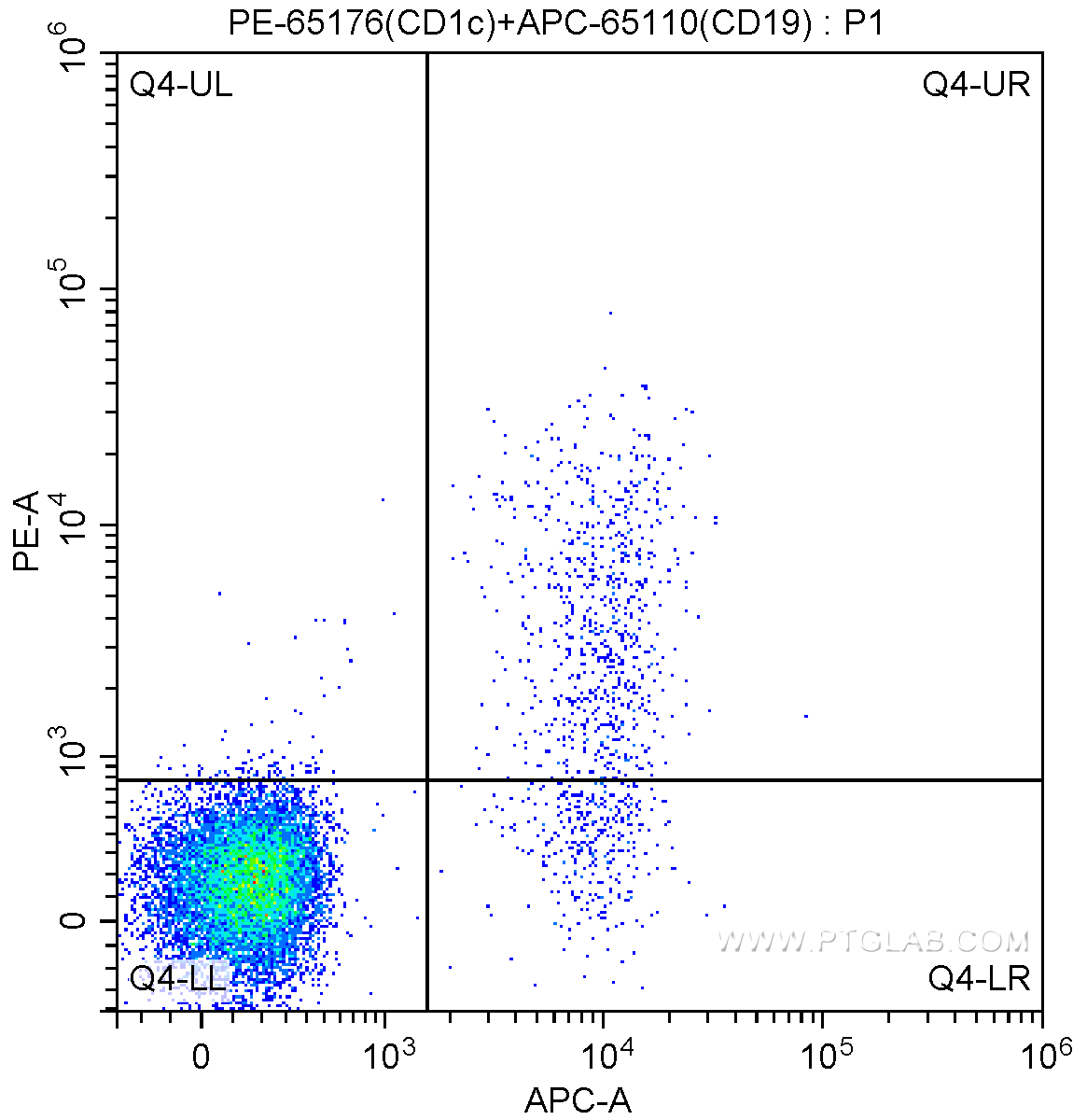 FC experiment of human peripheral blood lymphocytes using PE-65176