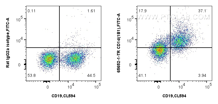 FC experiment of mouse splenocytes using 65652-1-TR