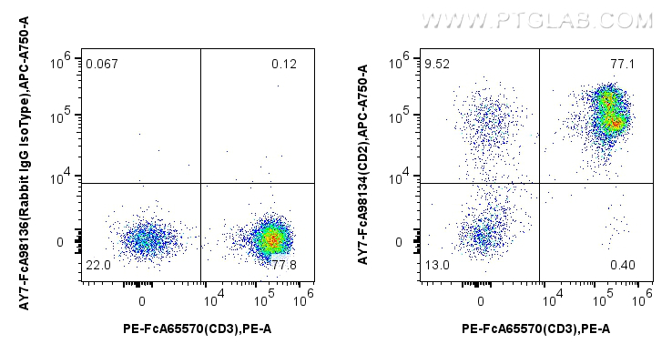 FC experiment of human PBMCs using AY7-FcA98134 FC experiment of human PBMCs using AY7-FcA98134