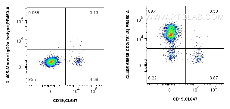 FC experiment of human PBMCs using CL405-65565