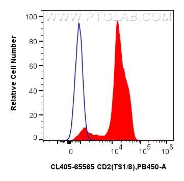  CD2