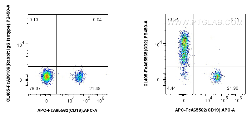 FC experiment of human PBMCs using CL405-FcA65565
